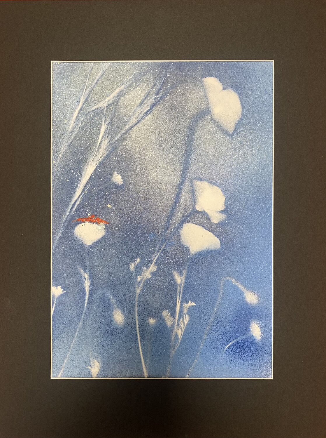 Coquelicots et graminées Catherine Zivi