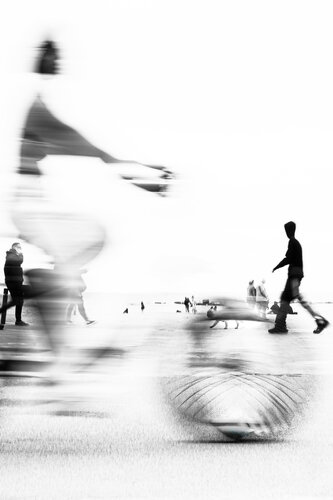 Constantly on the move (multiple awards) di Art Merl, Fotografia in vendita su Singulart
