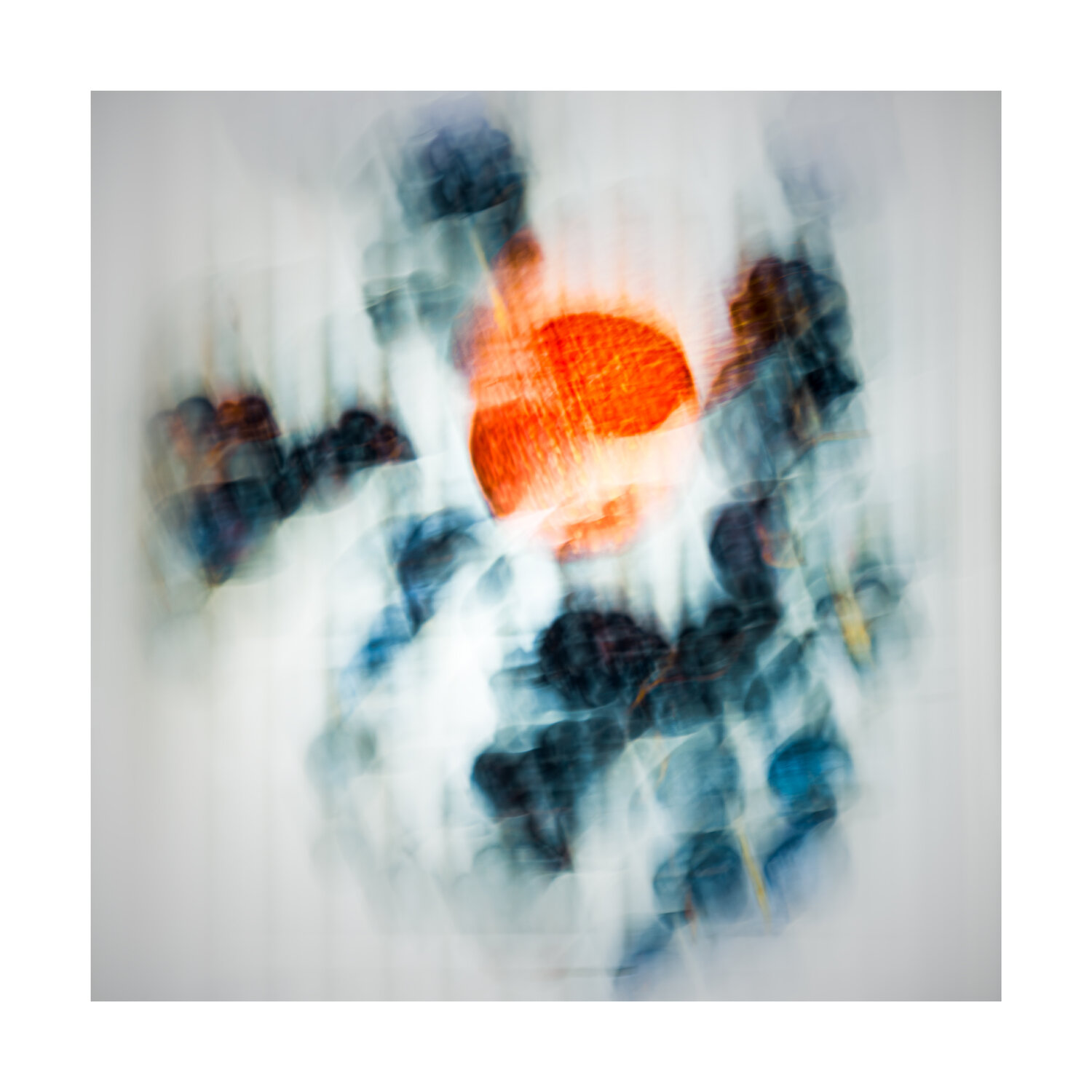 Limited Treasures Art Merl