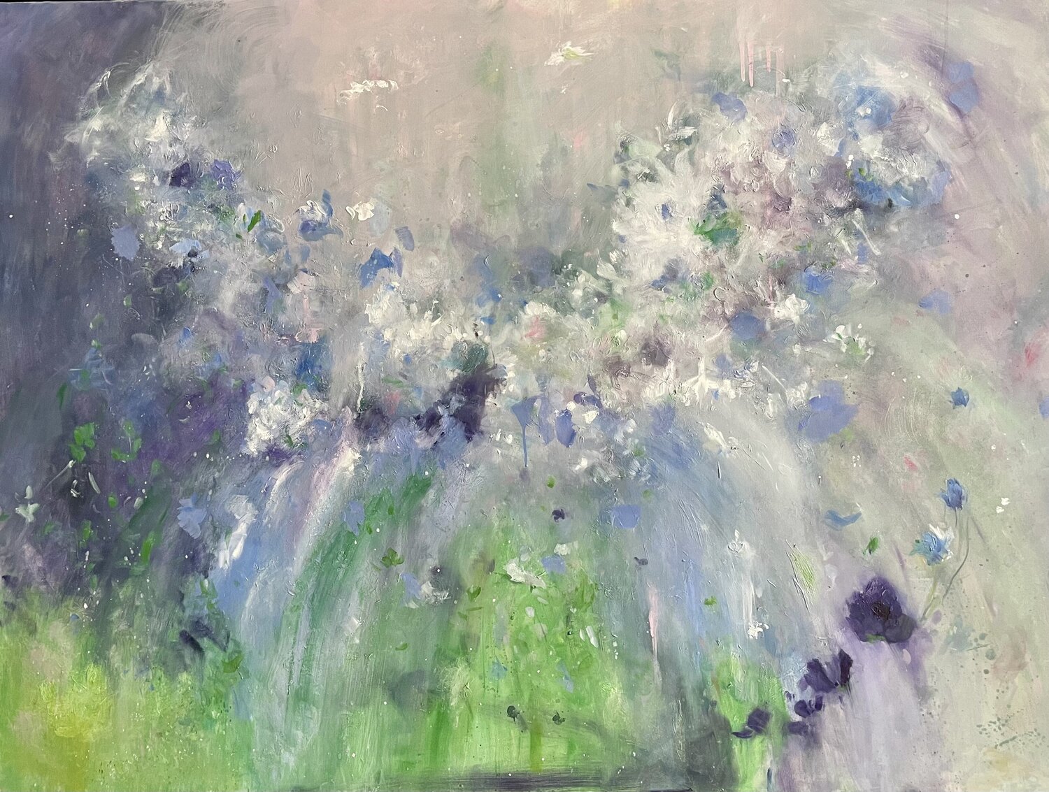 Papillon Johanna Lisa