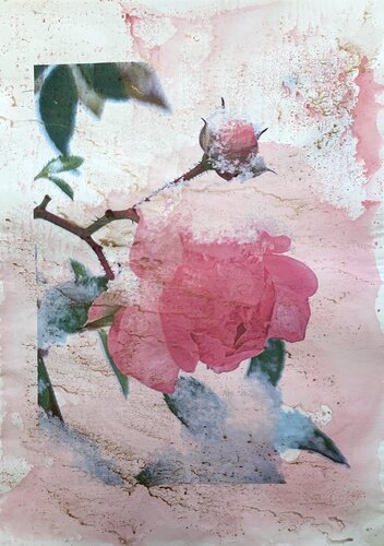 Zärtliche Schneerosen eins van Heike Kirsch, Werk op papier te koop op Singulart