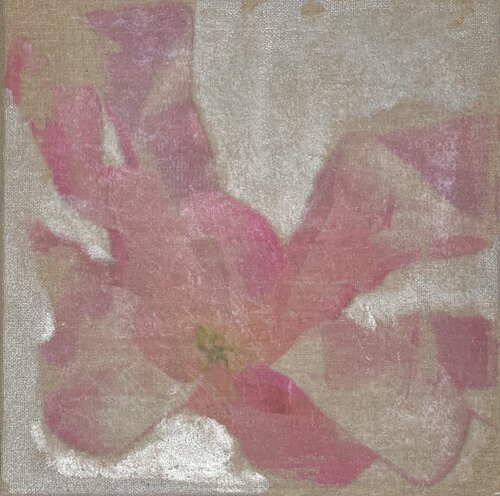 Sternmagnolie 1 by Heike Kirsch, 인쇄 for Sale on Singulart