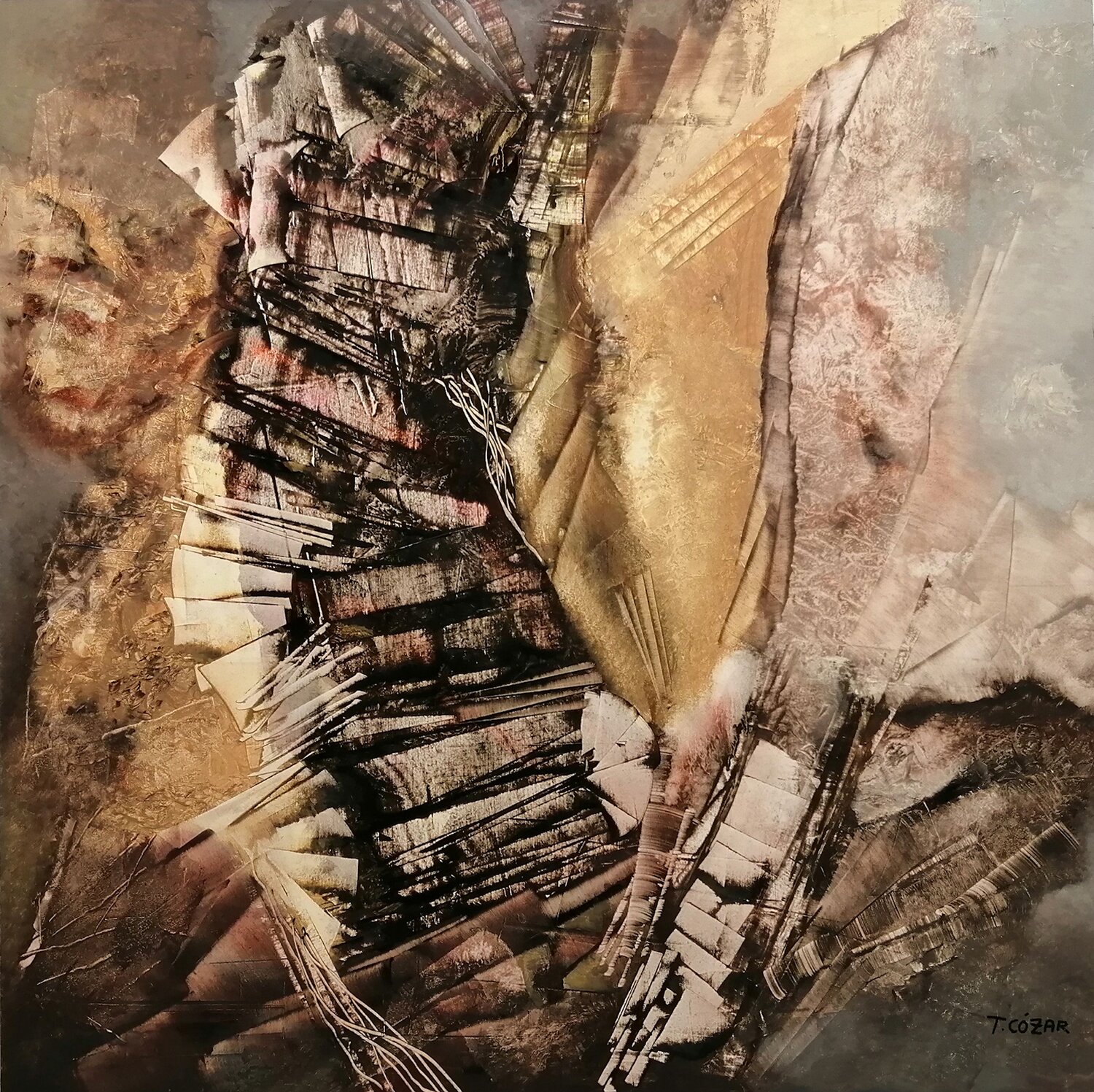 MURO TOMAS CÓZAR