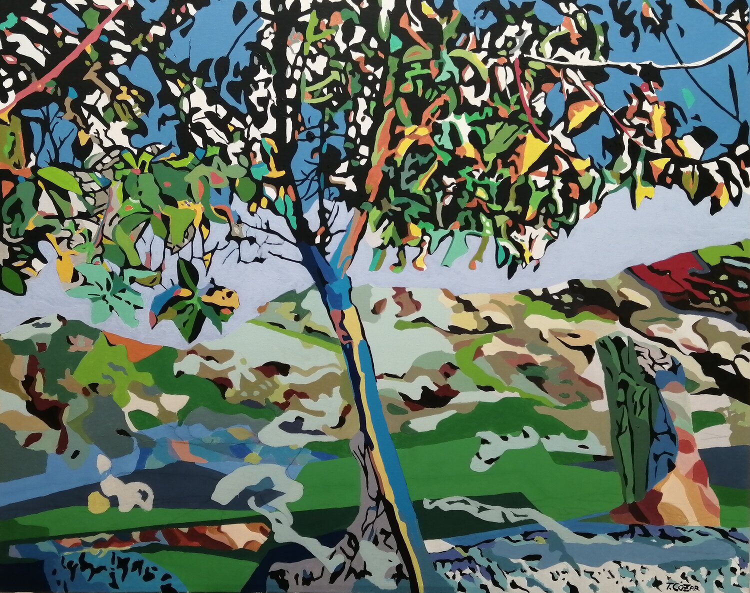 SIN TÍTULO ( L-24) TOMAS CÓZAR