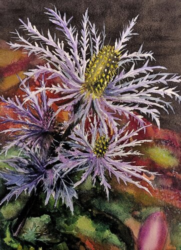 Eryngium alpinum - Regina delle Alpi - serie fiori delle Dolomiti von Paolo Mori, Malerei kaufen auf Singulart