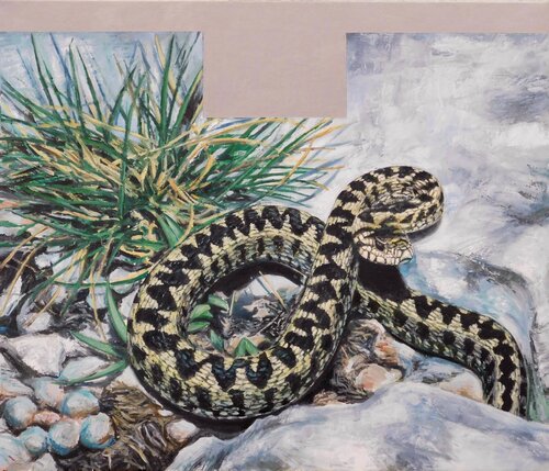 Vipera dell'Orsini de Paolo Mori, Pintura a la venta en Singulart