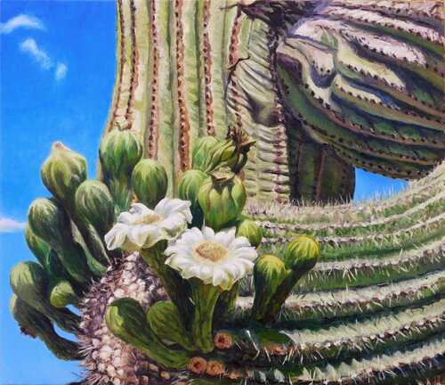Cactus II Paolo Mori
