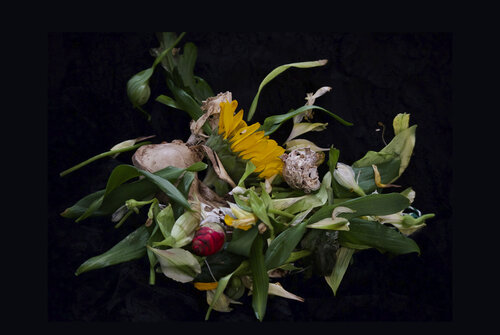 Ritual von Susana López F, Fotografie kaufen auf Singulart