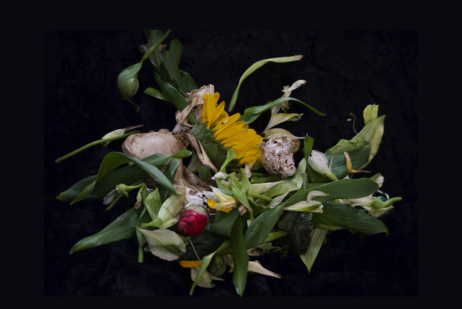 Ritual Susana López F