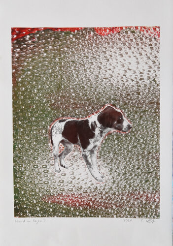 Hund im Regen 3 by Cornelia Leitner, Work on Paper for Sale on Singulart