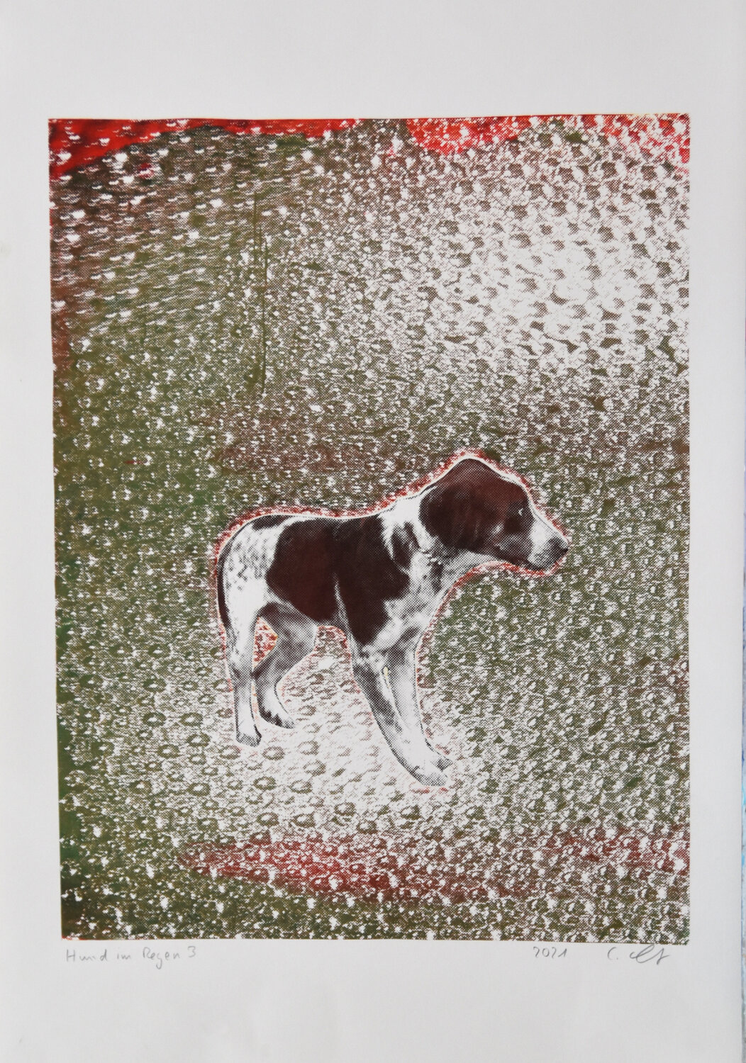 Hund im Regen 3 Cornelia Leitner