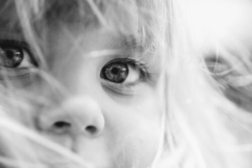 In This Eye Julien VANDANJON-RANCOULE