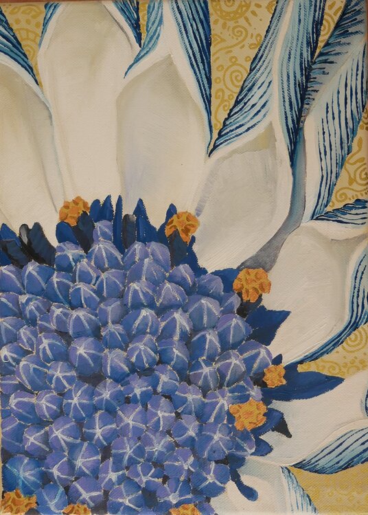 Fleur bleue Tiphaine de Tarlé