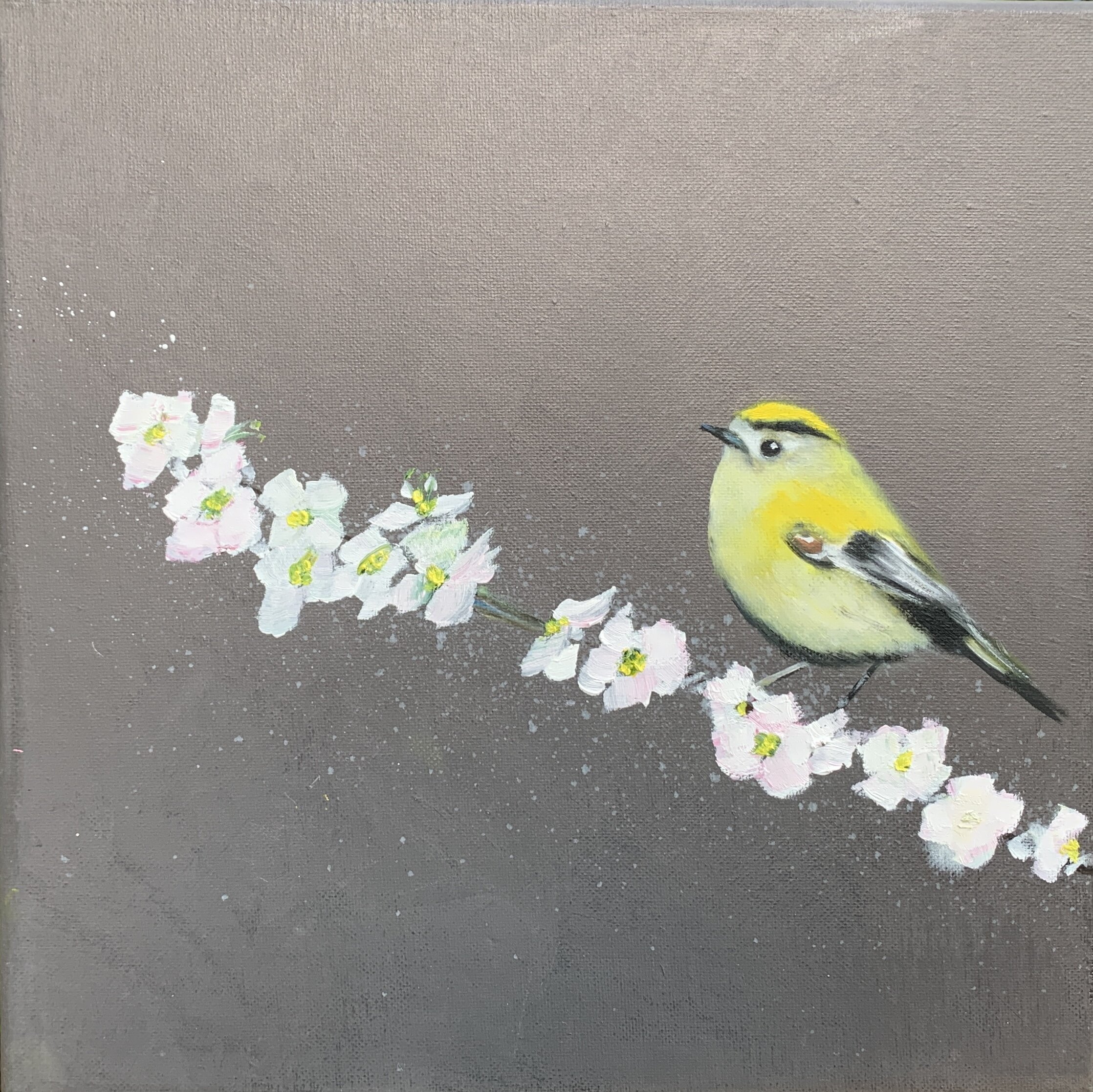 Topic Goldfinch paintings