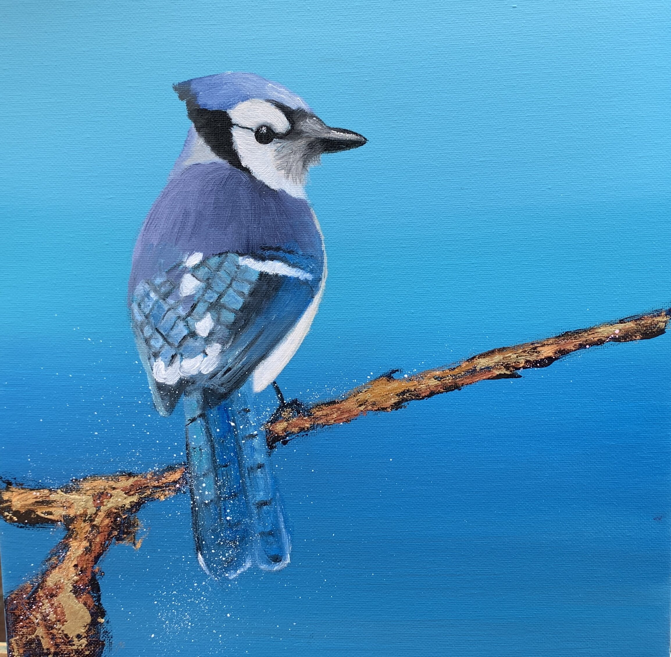 Topic Bluejay paintings