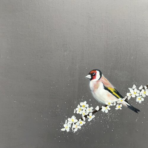 Goldfinch ~ on Cherry Blossom di Laure Bury, Pittura in vendita su Singulart
