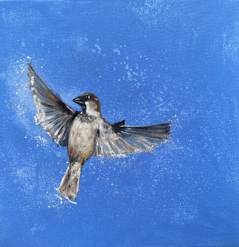 Sparrow in Flight von Laure Bury, Malerei kaufen auf Singulart