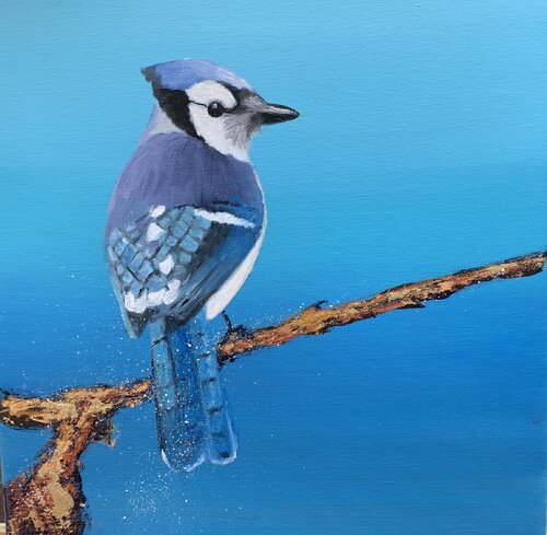 Young Blue Jay by Laure Bury, Painting for Sale on Singulart