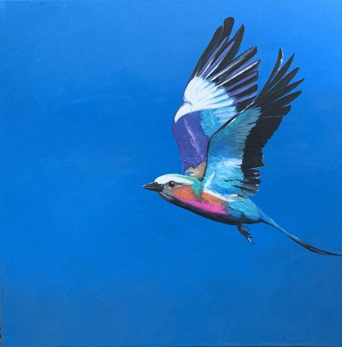 Lilac Breasted Roller in Flight II von Laure Bury, Malerei kaufen auf Singulart