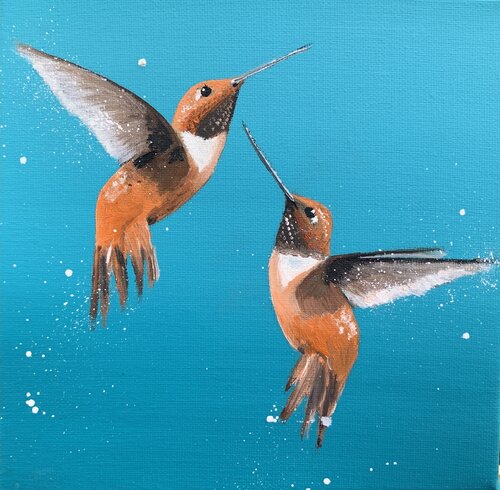 Rufous Hummingbirds Laure Bury