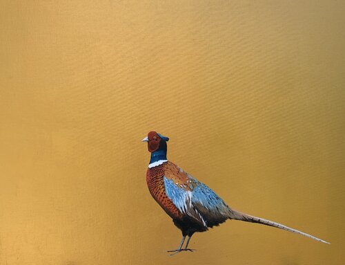 Please Don't Shoot Me by Laure Bury, Painting for Sale on Singulart