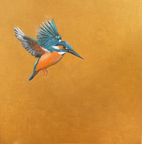 Kingfisher in Flight von Laure Bury, Malerei kaufen auf Singulart