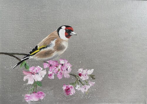Goldfinch on Cherry Blossom Laure Bury