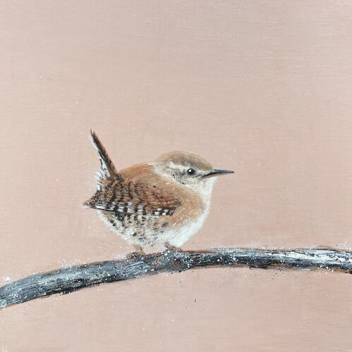Jenny Wren II von Laure Bury, Malerei kaufen auf Singulart