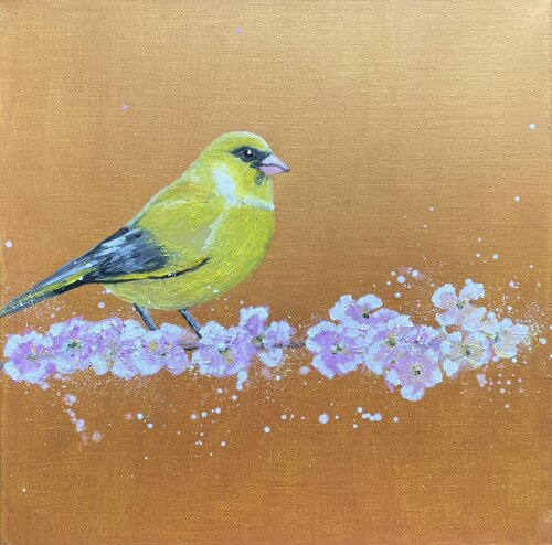 Greenfinch on Cherry Blossom de Laure Bury, Pintura a la venta en Singulart