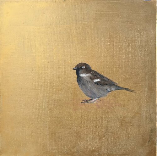 Old World Sparrow di Laure Bury, Pittura in vendita su Singulart