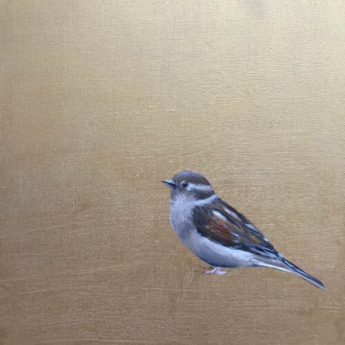 Little Sparrow On Gold di Laure Bury, Pittura in vendita su Singulart