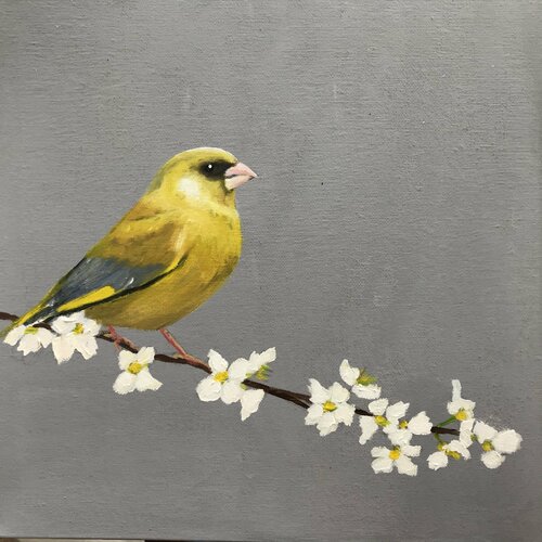 Greenfinch on Cherry Blossom II di Laure Bury, Pittura in vendita su Singulart