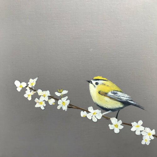 Gold Crest ~ on Cherry Blossom di Laure Bury, Pittura in vendita su Singulart