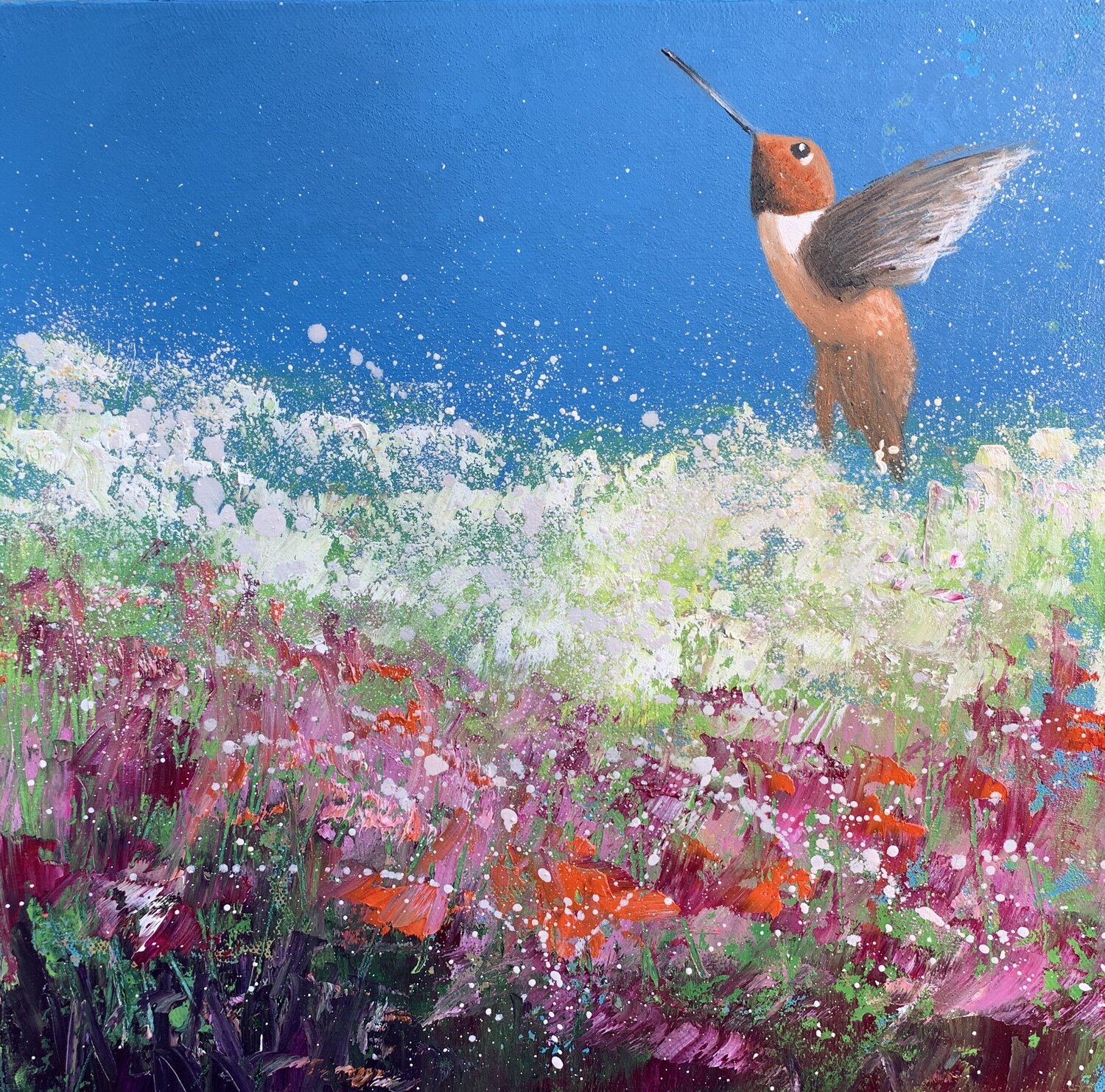 Rufous Hummingbird Laure Bury