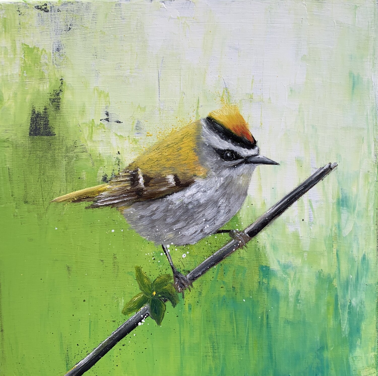 Fire Crest Laure Bury