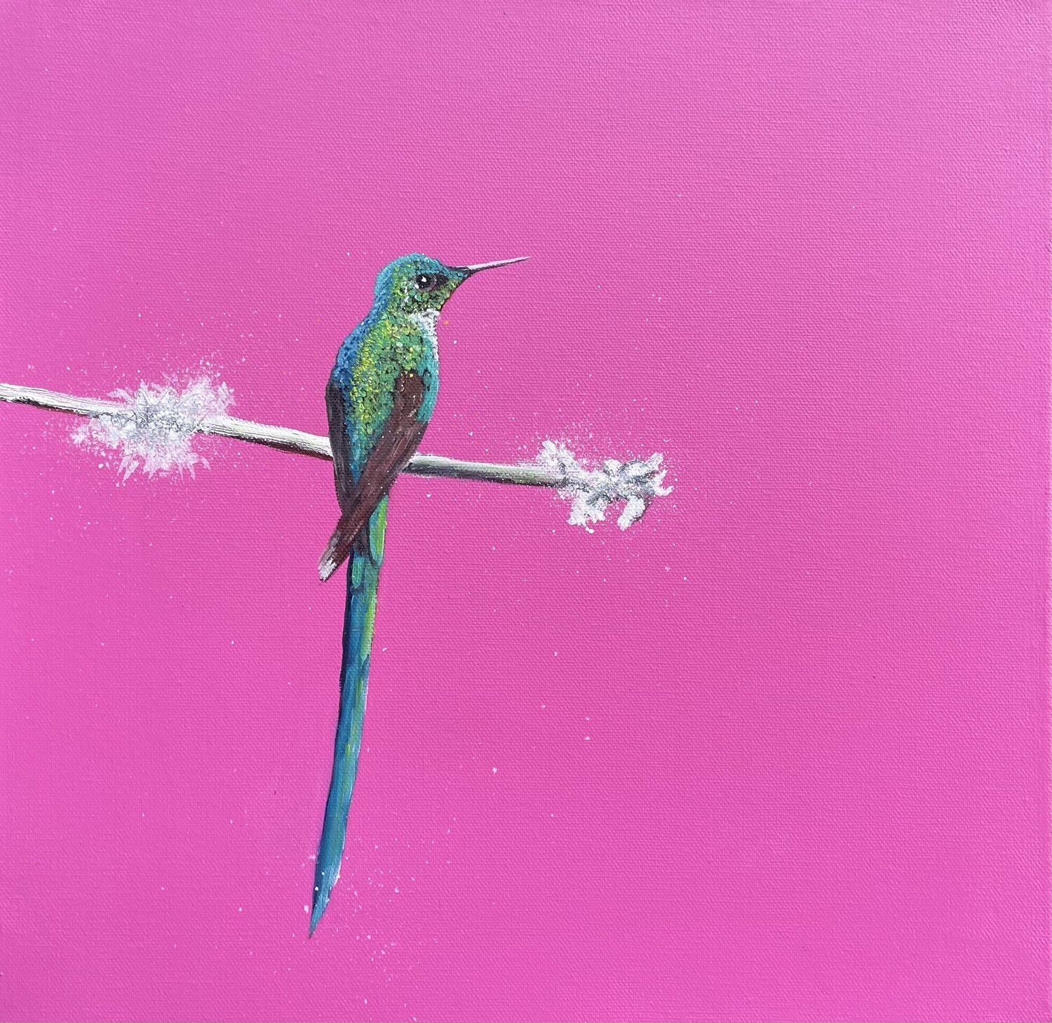 Long-tailed Sylph Laure Bury