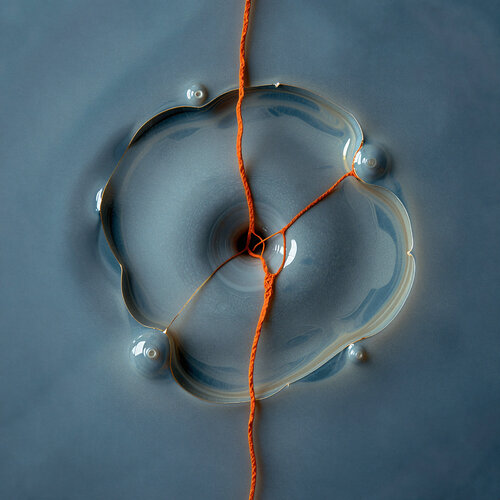 The Rust Bloom II de Stefan Eisele, Digital a la venta en Singulart