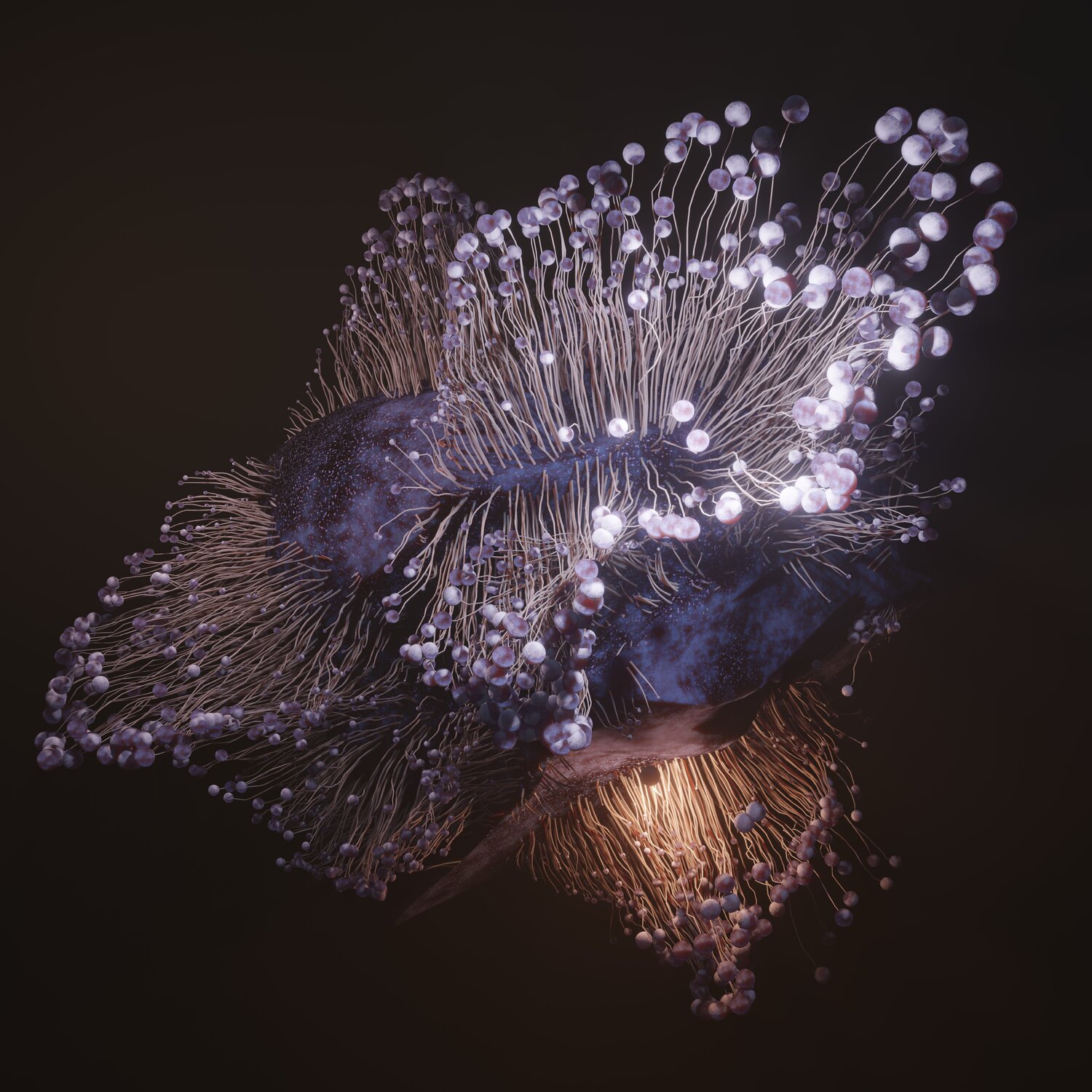 Figures of discomfort #1 Stefan Eisele