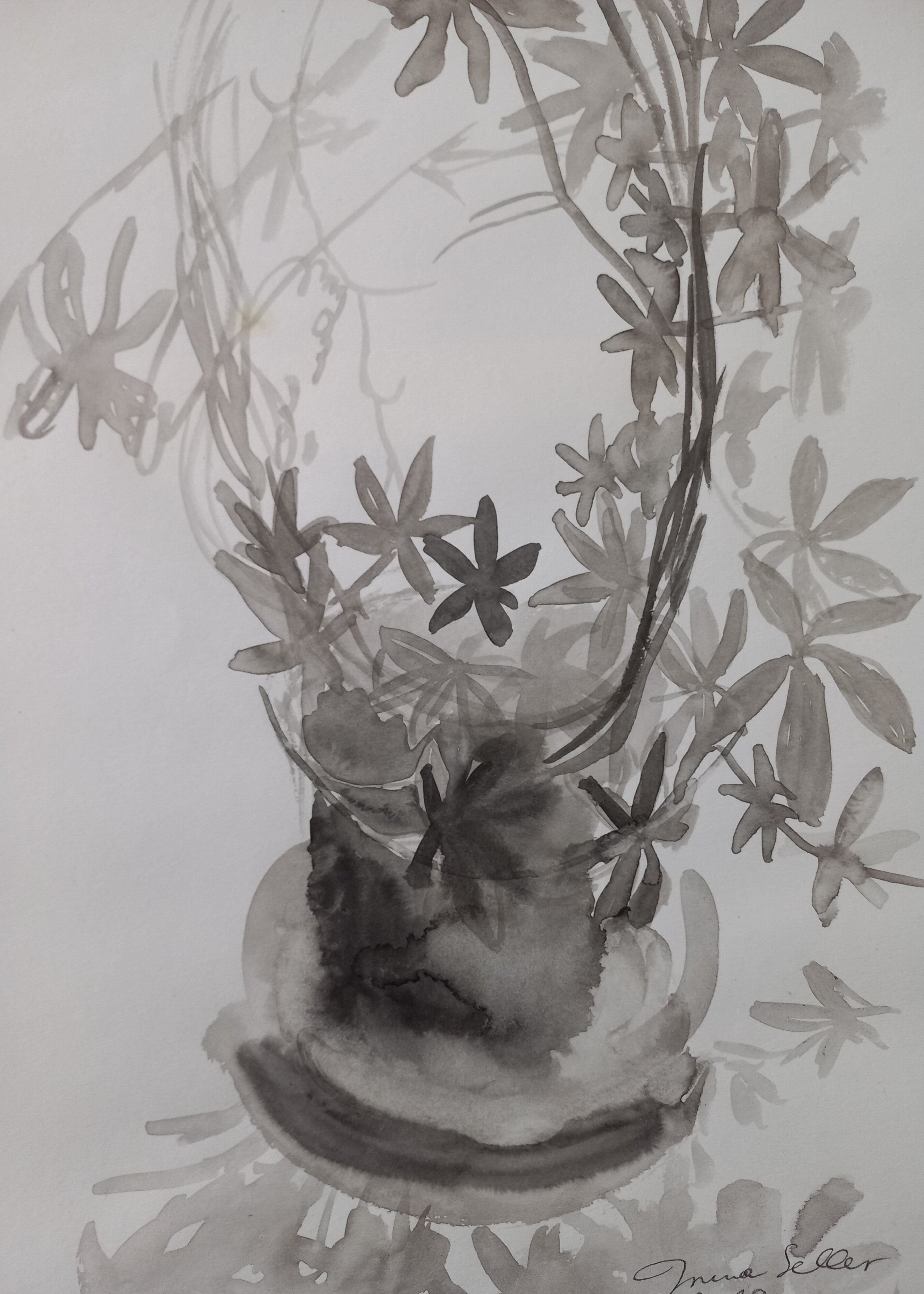 Fleurs dans des vases