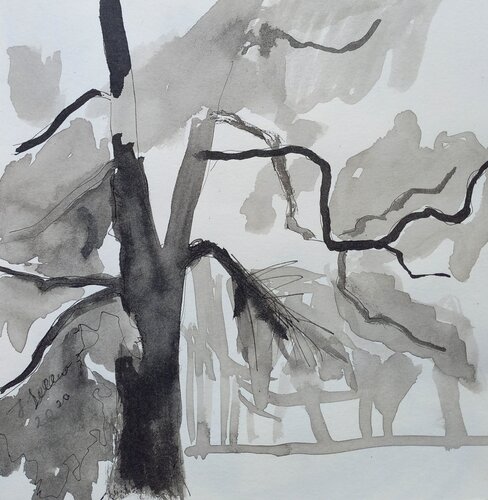 Eichenbaum Studie by Irina Seller, Drawing for Sale on Singulart