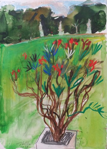Oleander in the park van Irina Seller, Tekening te koop op Singulart