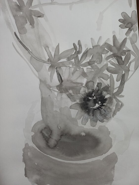 Passionflower Irina Seller