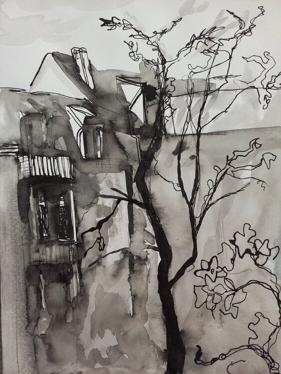 Cherry tree in the courtyard Irina Seller