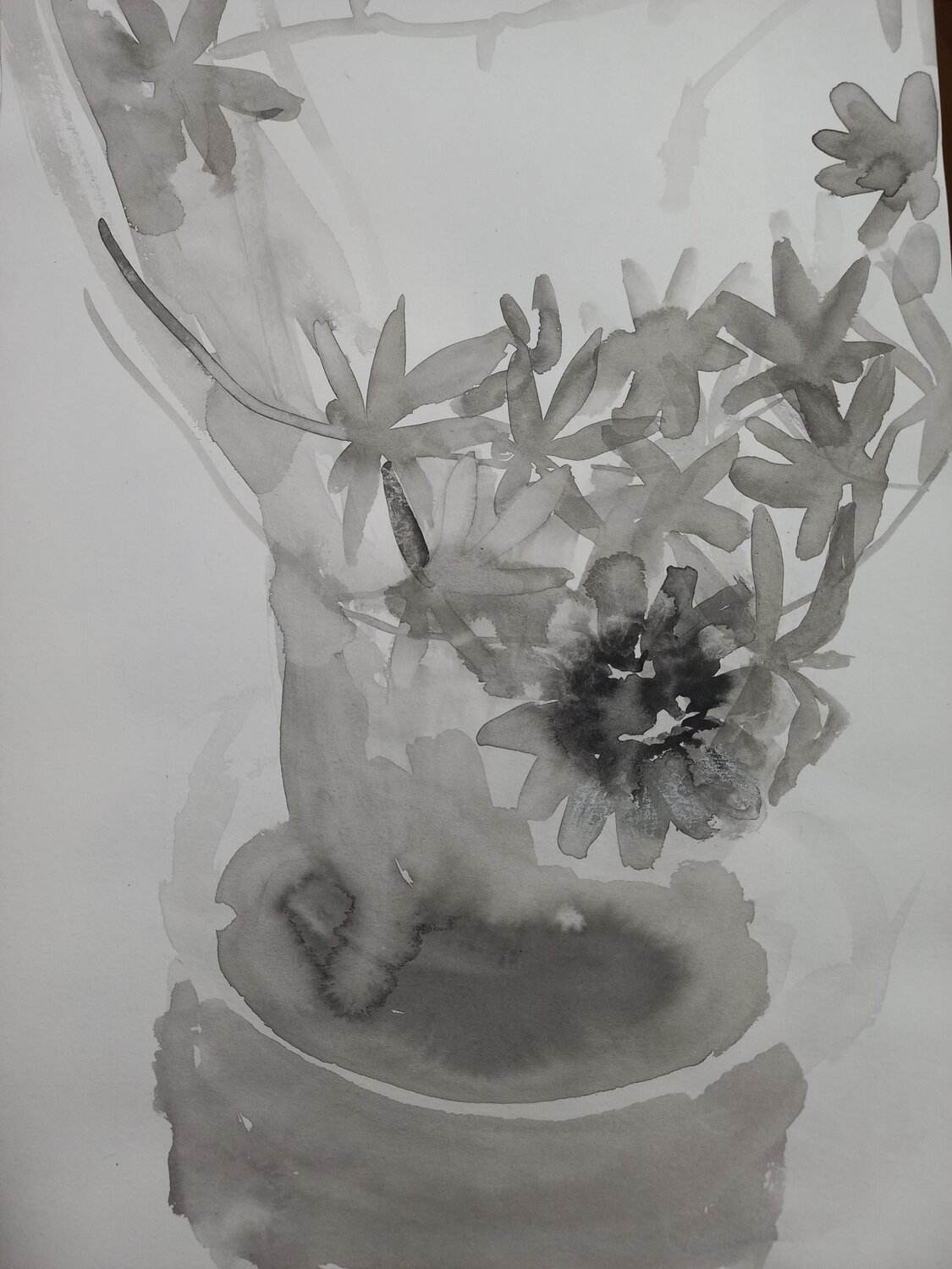 Passionflower Irina Seller