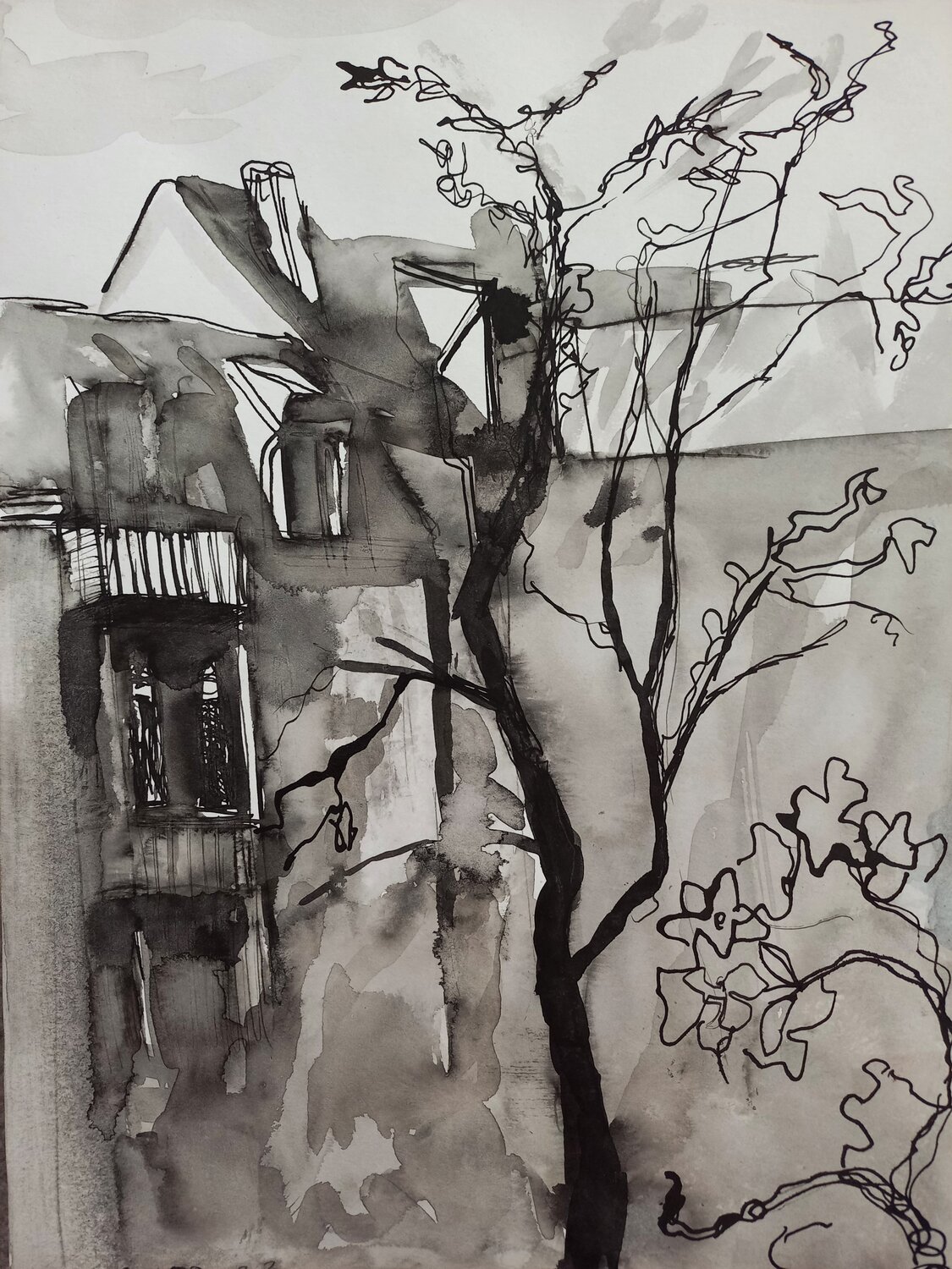 Cherry tree in the courtyard Irina Seller