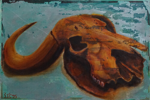 Skull van Thomas Sipos, Schilderij te koop op Singulart