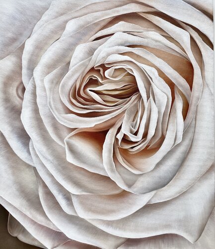 Ash Rose van Tanya Golodynska, Schilderij te koop op Singulart