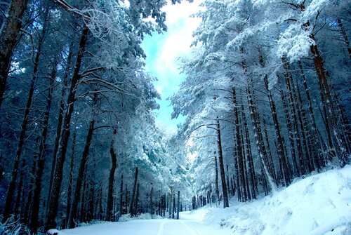 Ice kingdom by decolor feroz, Photography for Sale on Singulart