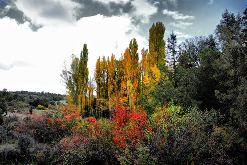 Autumn-winter fashion at the foothills of Somosierra. van decolor feroz, Fotografie te koop op Singulart