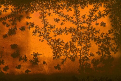 The world of ice seen by an ant van decolor feroz, Fotografie te koop op Singulart
